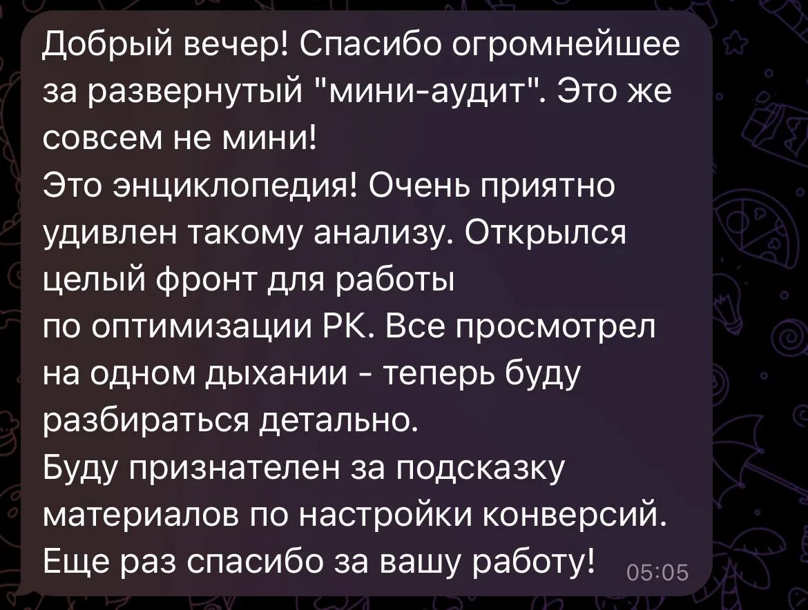 «Мини»-аудит на деле оказался энциклопедией.
